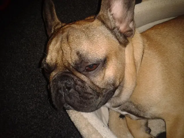 Condolence image of Martina