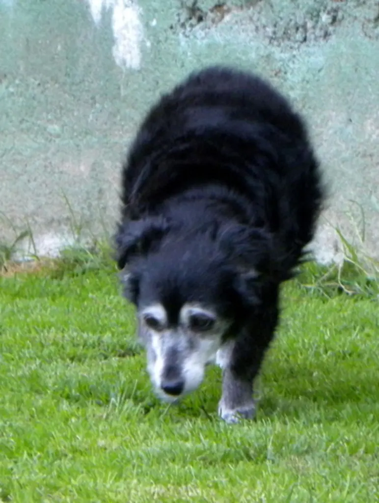 Condolence image of Berta