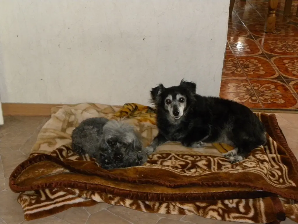 Condolence image of Berta