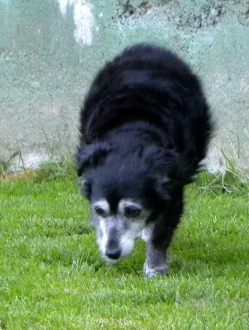 Condolence image of Berta