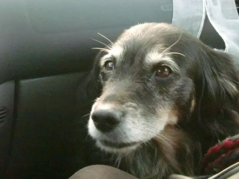Condolence image of Julia