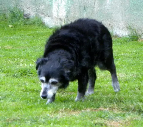 Condolence image of Ellen