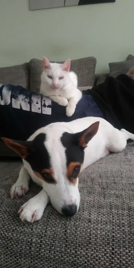 Andachtsbild von Anja&Carsten mit Spot-Simba im Herzen
