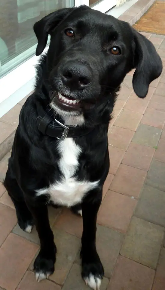 Bild von SAM