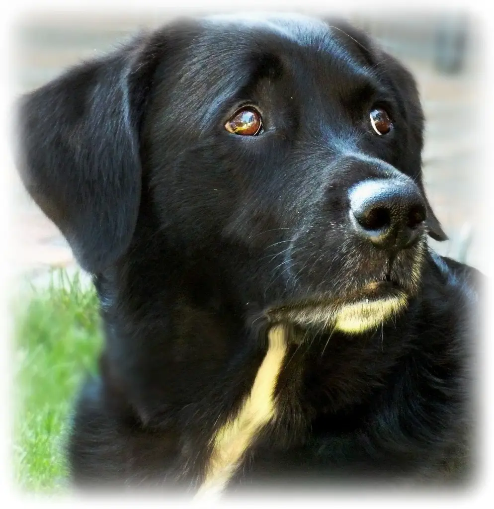Bild von SAM