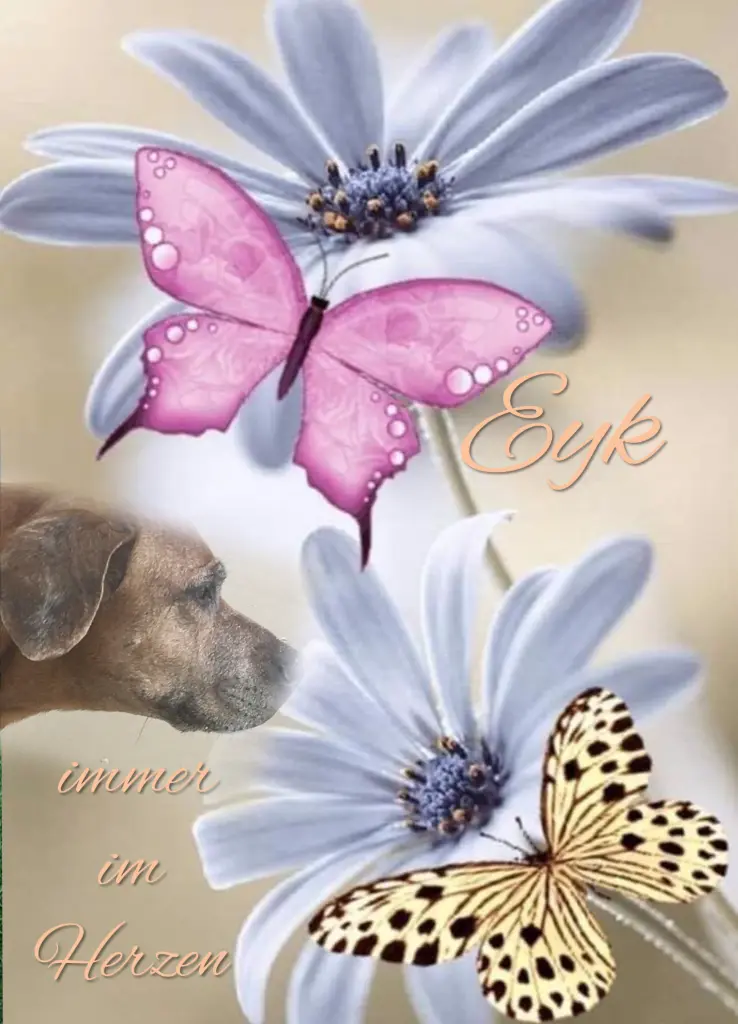 Andachtsbild von Gaby mit Snowy* im Herzen 