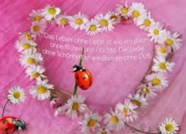 Andachtsbild von Claudia mit Skylar ganz tief im Herzen ❤️