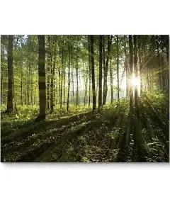 Andachtsbild von Christiane