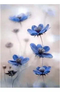 Andachtsbild von Christiane