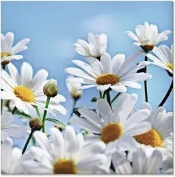 Andachtsbild von Christiane 