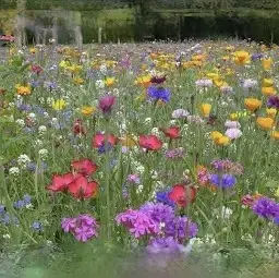 Andachtsbild von Christiane 