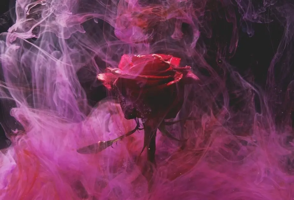 Andachtsbild von Claudia mit Skylar ganz tief im Herzen ❤️