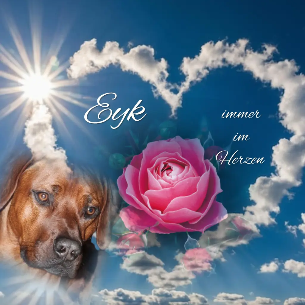 Andachtsbild von Gaby mit Snowy ❤️