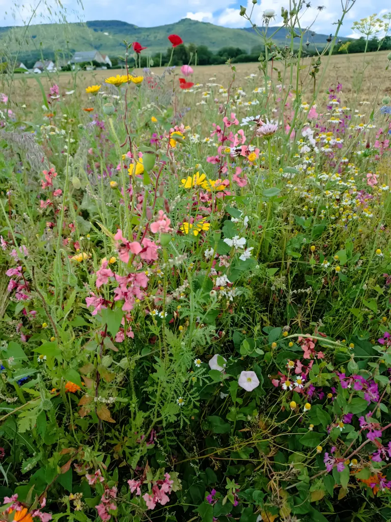 Andachtsbild von Claudia mit Skylar ganz tief im Herzen ❤️