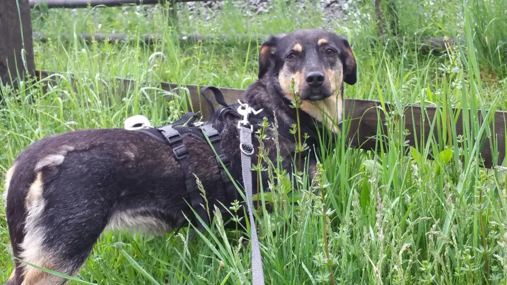 Andachtsbild von Konni mit Mayte ganz tief im Herzen ❤️