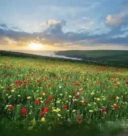 Andachtsbild von Christiane 