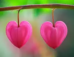 Andachtsbild von Christiane ❤️