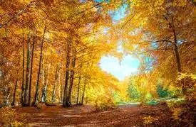 Andachtsbild von Christiane ❤️