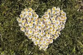 Andachtsbild von Christiane ♥️