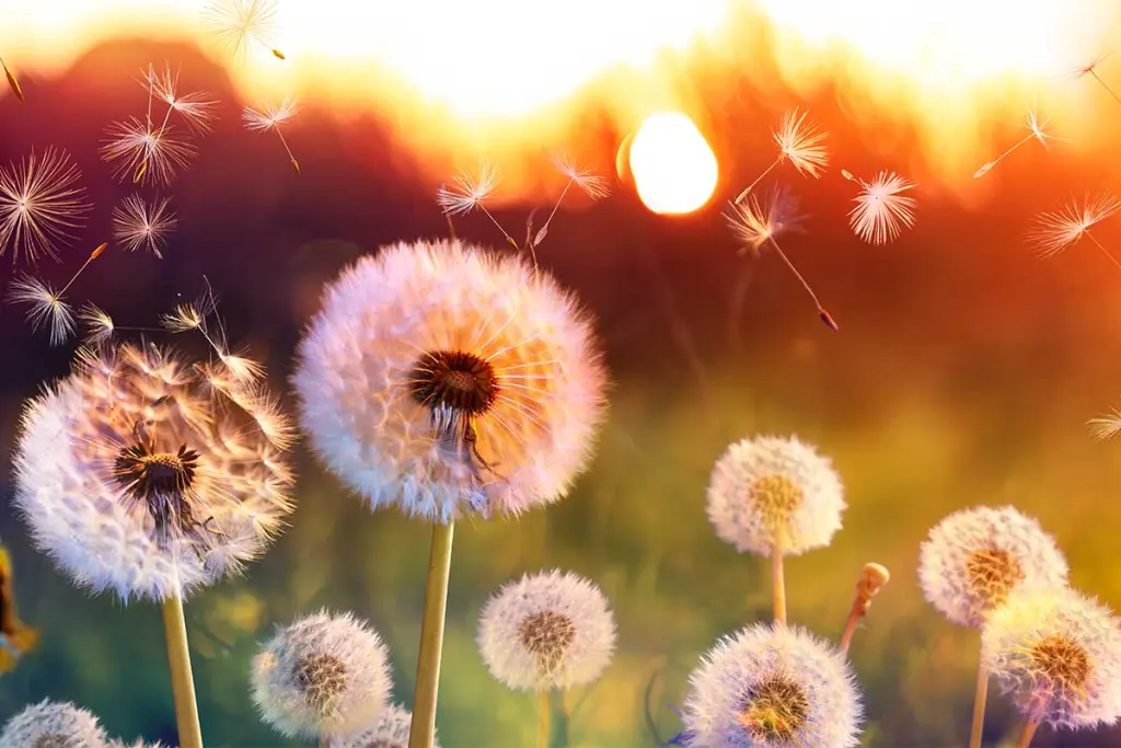 Andachtsbild von Iris mit Linus und Eliot im ♥