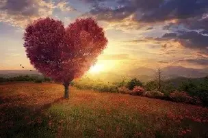 Andachtsbild von Christiane ♥️