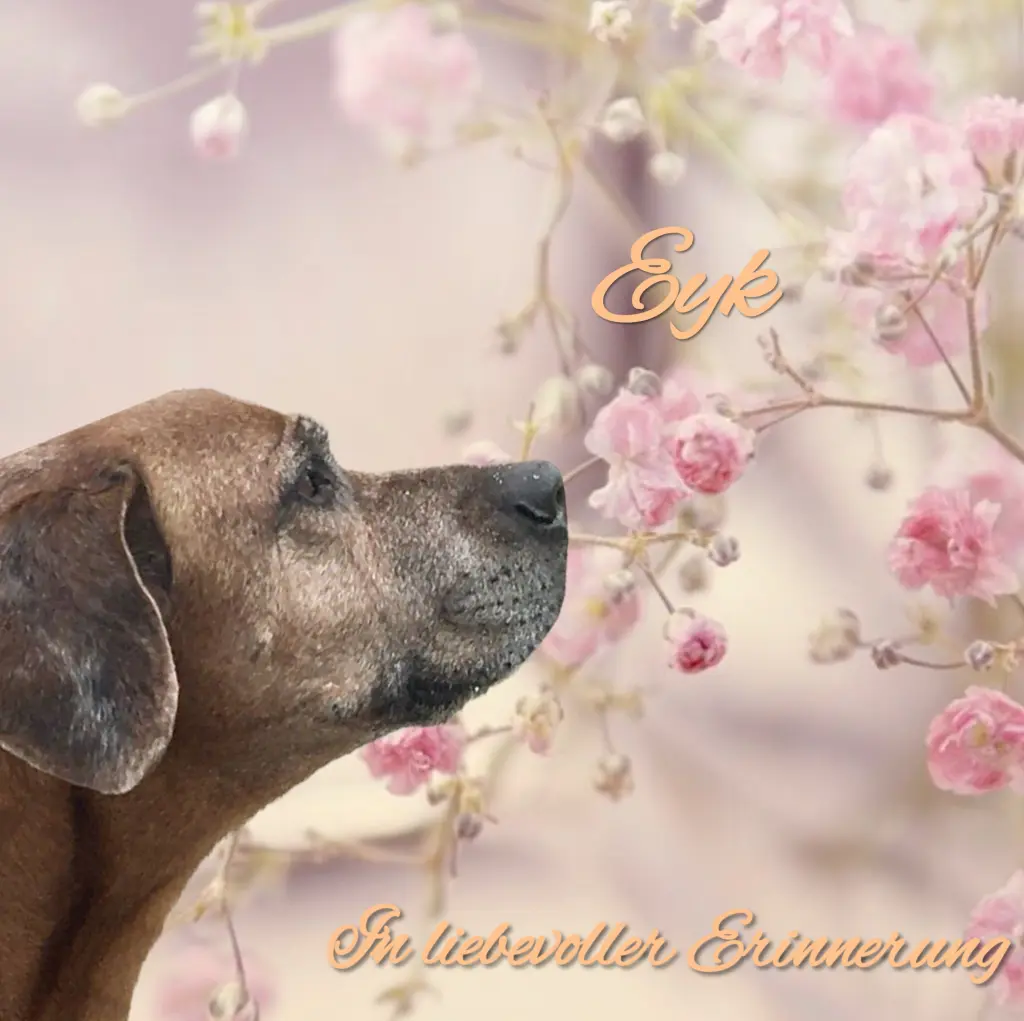 Andachtsbild von Immer im Herzen ❤️