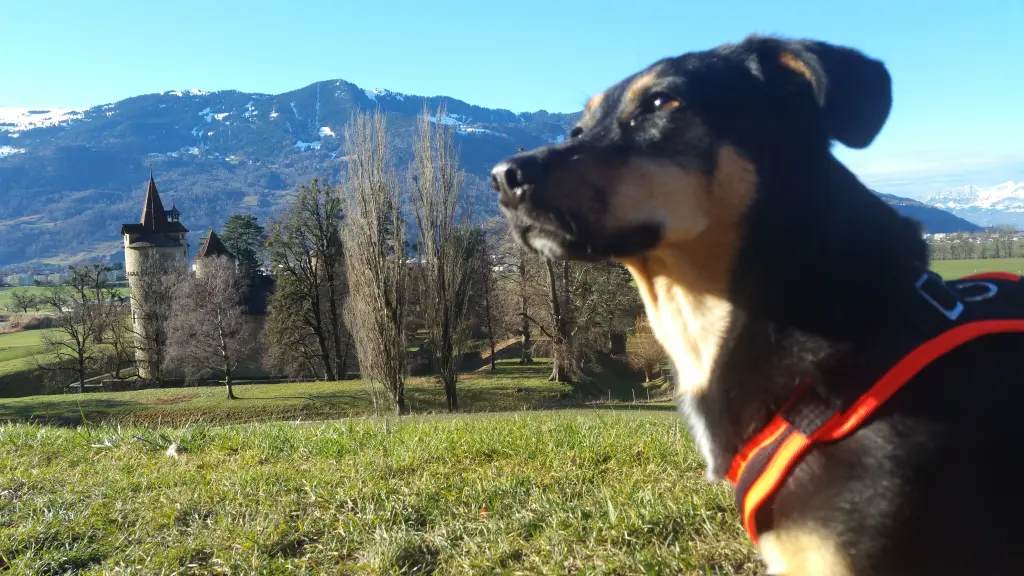 Andachtsbild von im ♥️en für immer