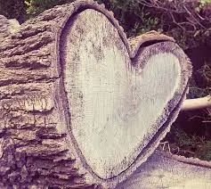 Andachtsbild von Christiane ♥️