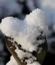 Andachtsbild von Christiane ♥️