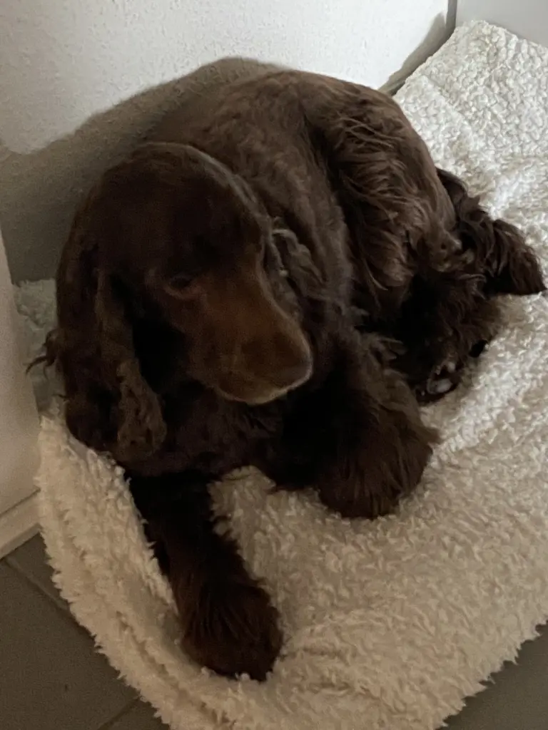 Andachtsbild von Kerstin mit Linus im ❤️