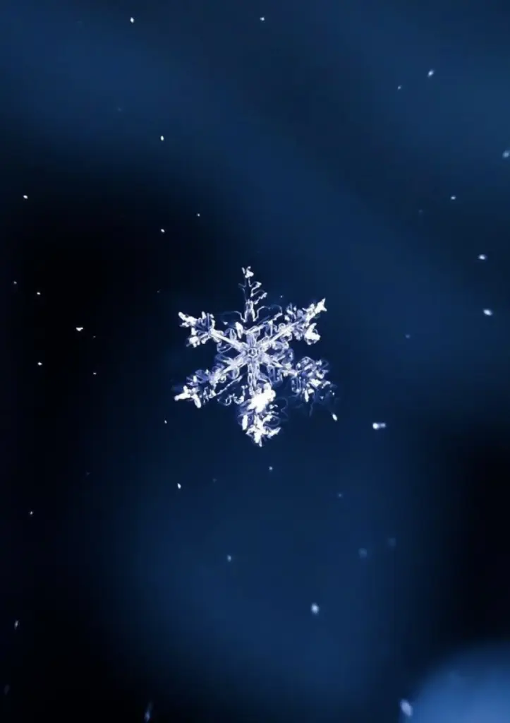 Andachtsbild von Kerstin mit Linus im ❤️