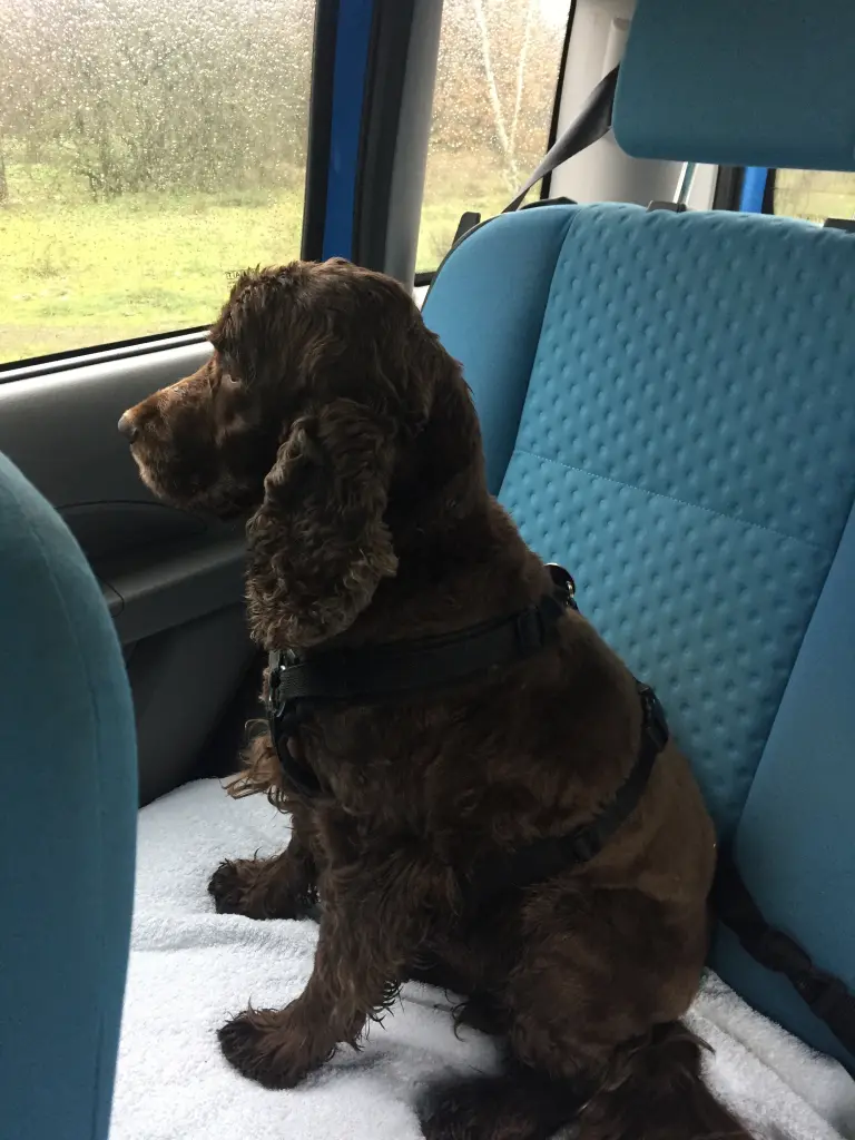 Andachtsbild von Kerstin mit Linus ❤️