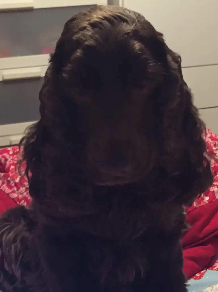 Andachtsbild von Kerstin mit Linus ❤️