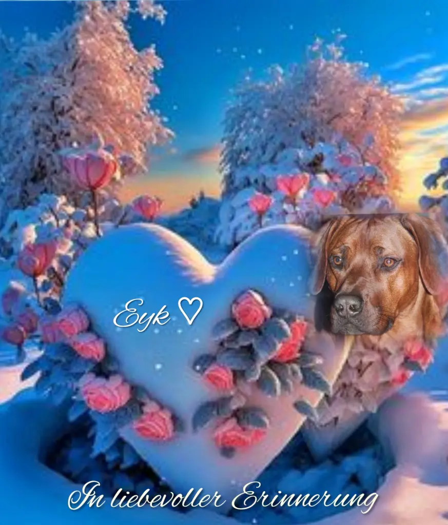 Andachtsbild von ♡Herzen♡