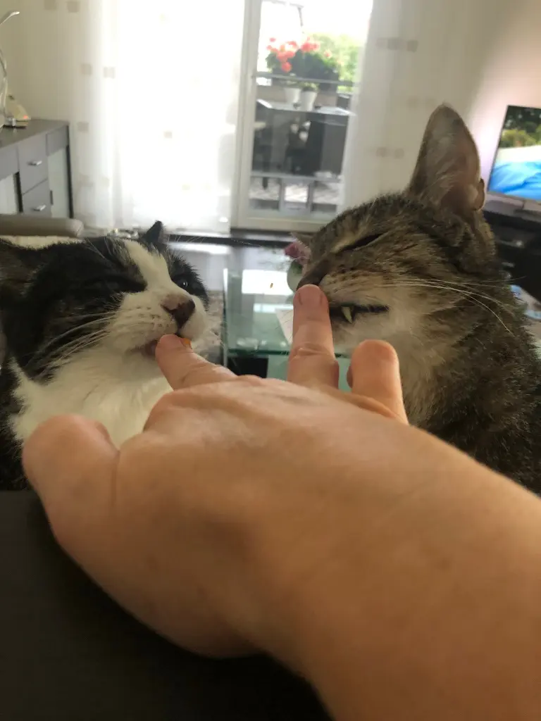 Andachtsbild von Oma