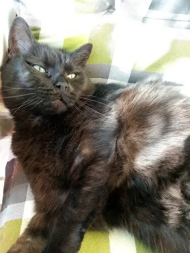 Andachtsbild von Melanie mit Aragon im Herzen