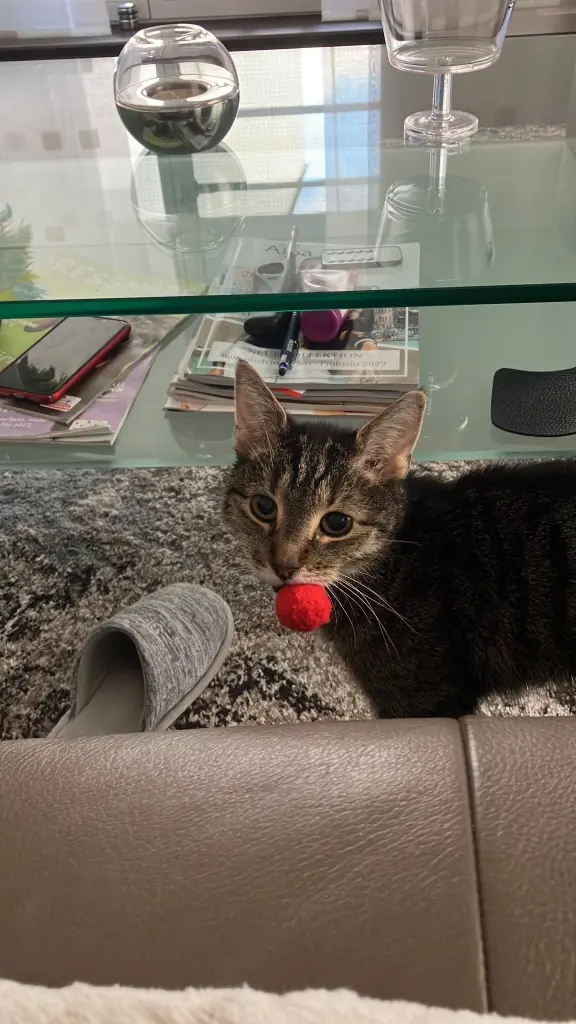 Andachtsbild von Oma