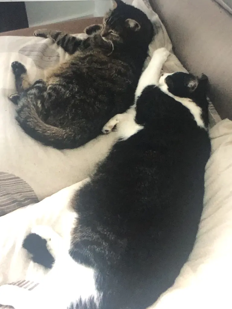 Andachtsbild von Oma