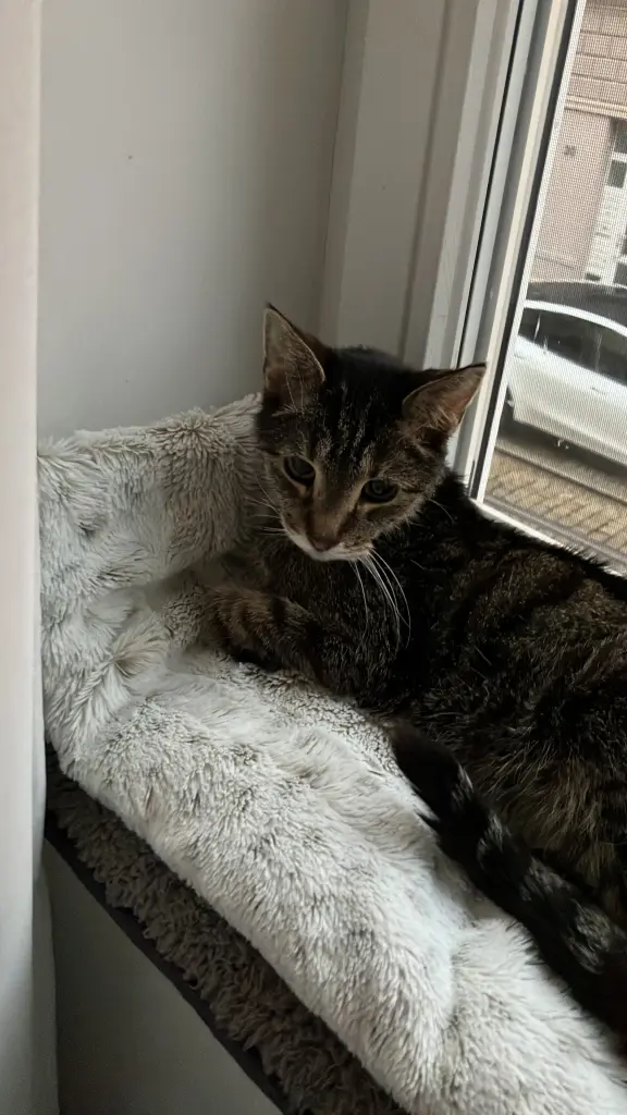 Andachtsbild von Oma Scholz