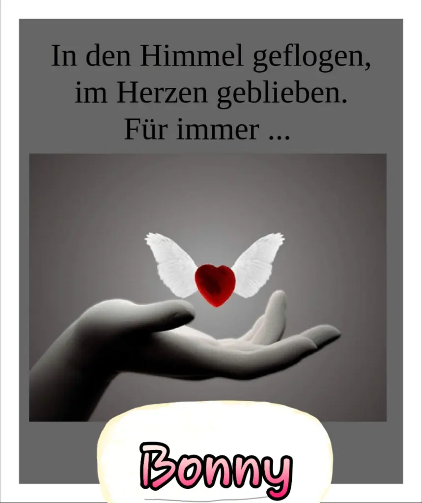 Condolence image of Manuela Kreuz