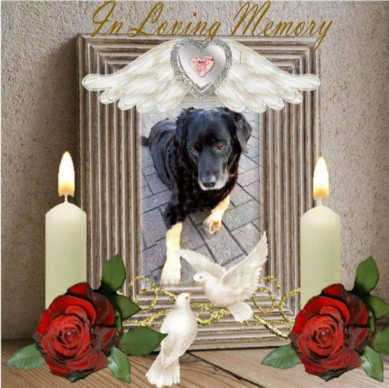 Condolence image of Manuela Kreuz