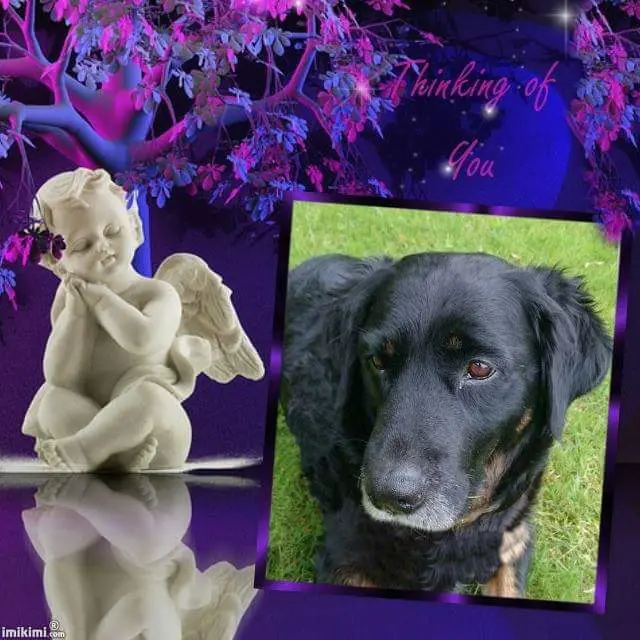 Condolence image of Manuela