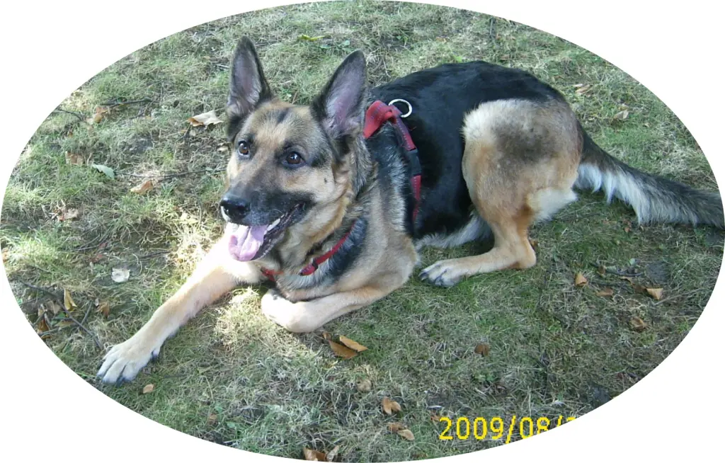 Condolence image of Ulla