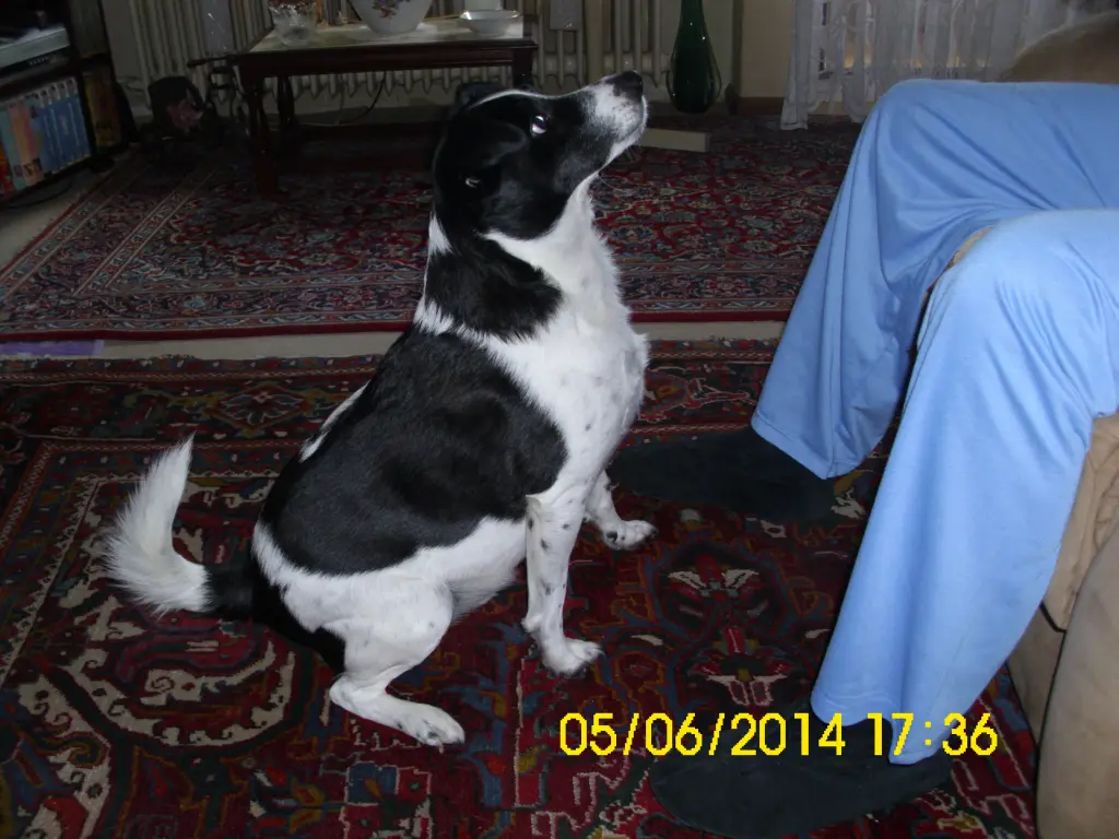 Image from Timmy