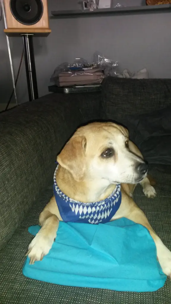 Andachtsbild von Petra