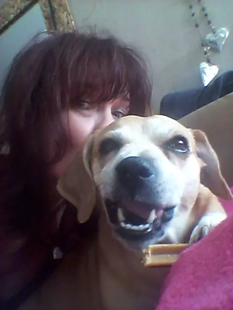 Andachtsbild von Petra