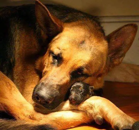 Condolence image of Carsten