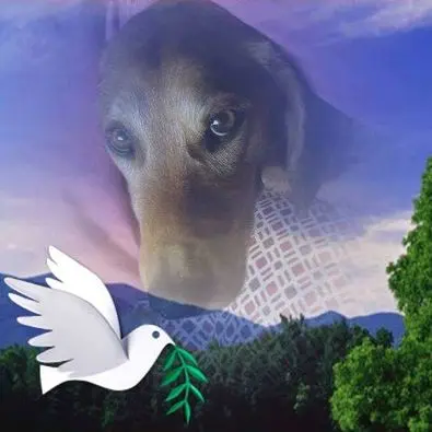 Andachtsbild von Marlies mit Pietsch tief im Herzen