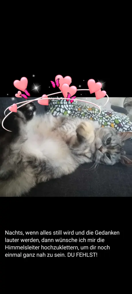 Andachtsbild von Für Jana♥️und Bootsmann