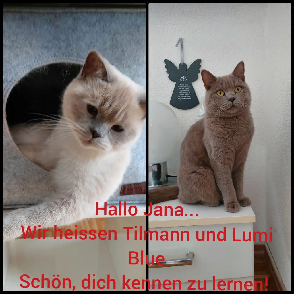 Andachtsbild von Von Tilmann und Lumi Blue